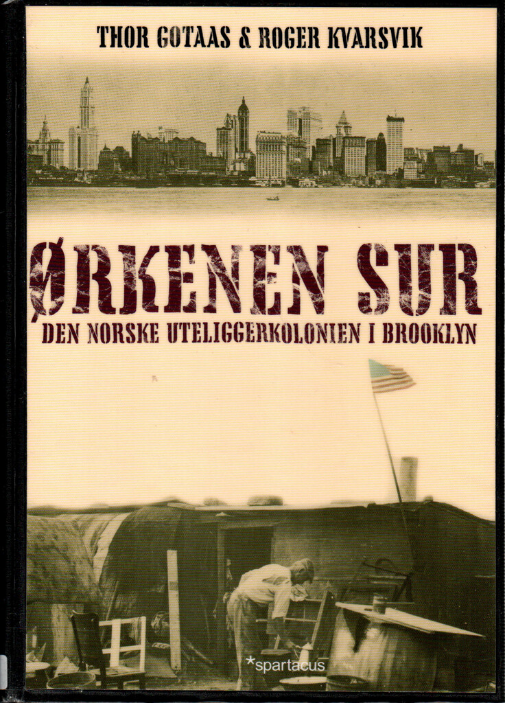 Ørkenen Sur : den norske uteliggerkolonien i Brooklyn