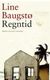 Omslagsbilde:Regntid : roman