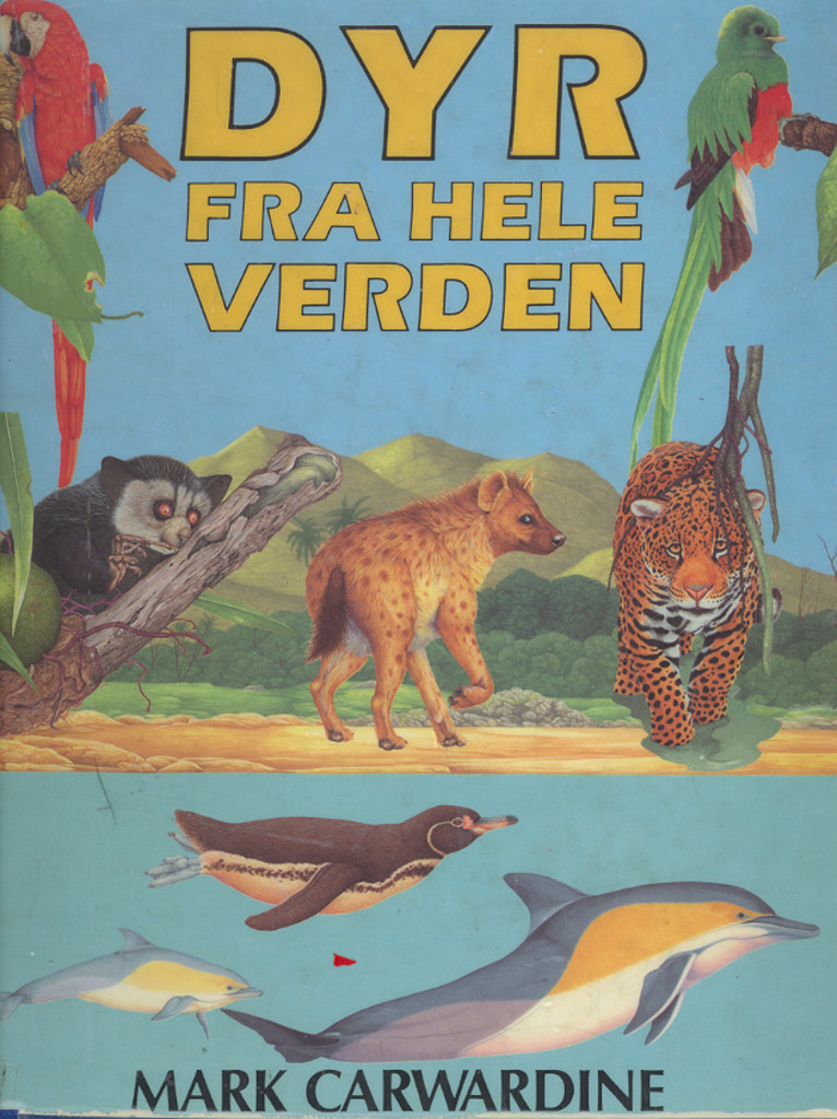 Forsidebilde