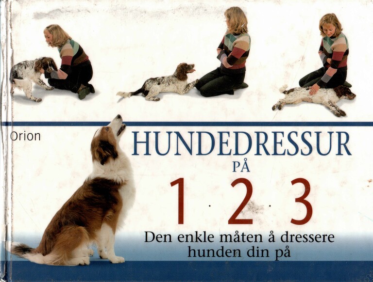 Forsidebilde