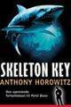 Omslagsbilde:Skeleton key