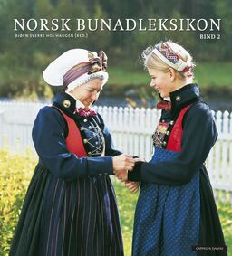 forsidebilde - trykk for å vise stor versjon