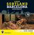 Omslagsbilde:Barcelona-mysteriet