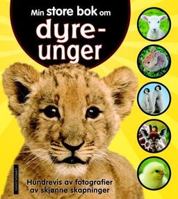 forsidebilde - trykk for å vise stor versjon