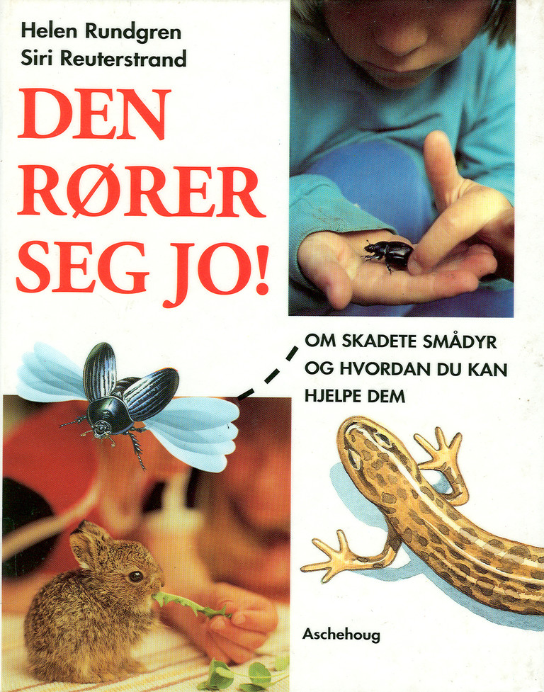 Forsidebilde