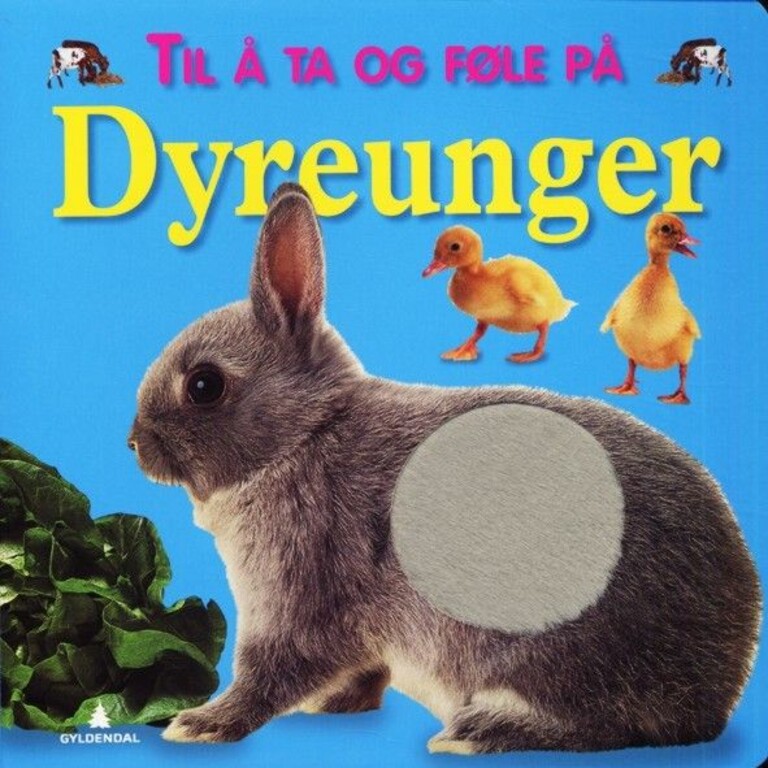 Forsidebilde