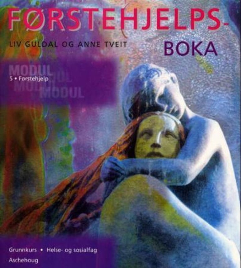 Forsidebilde