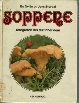 forsidebilde - trykk for å vise stor versjon