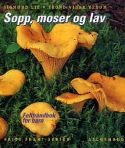 forsidebilde - trykk for å vise stor versjon