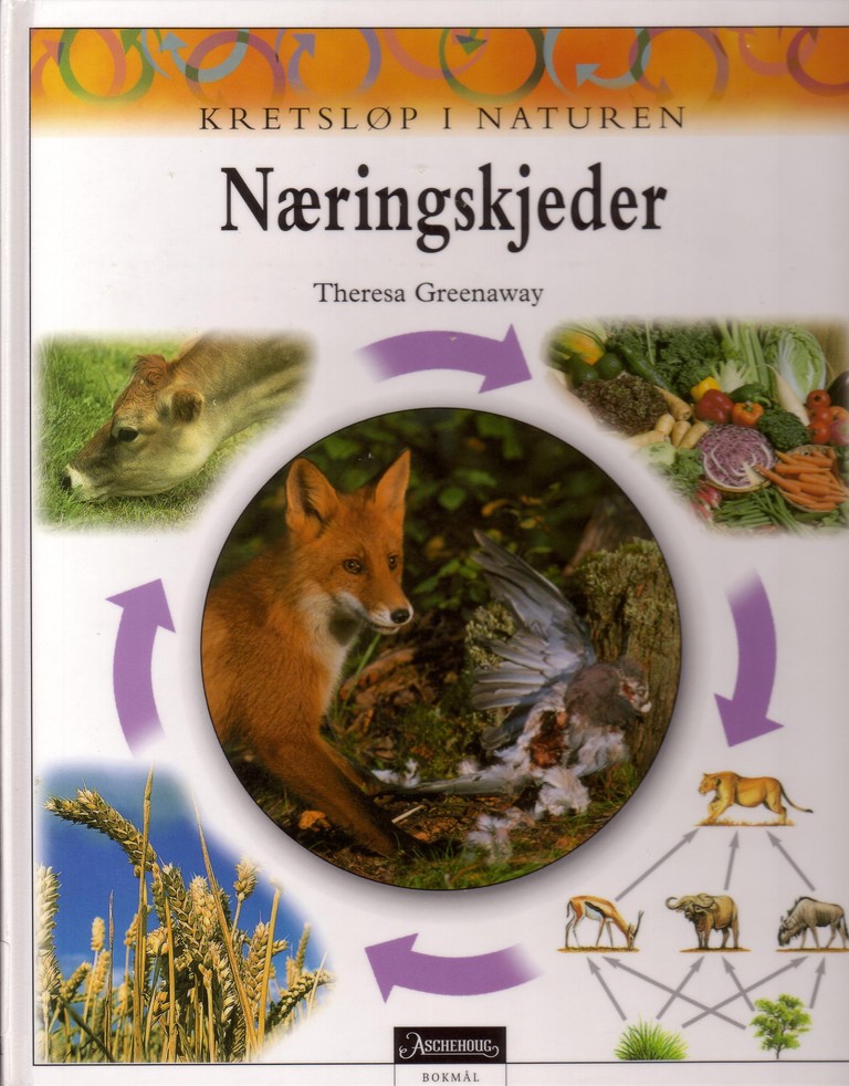 Næringskjeder