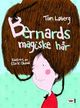 Cover photo:Bernards magiske hår