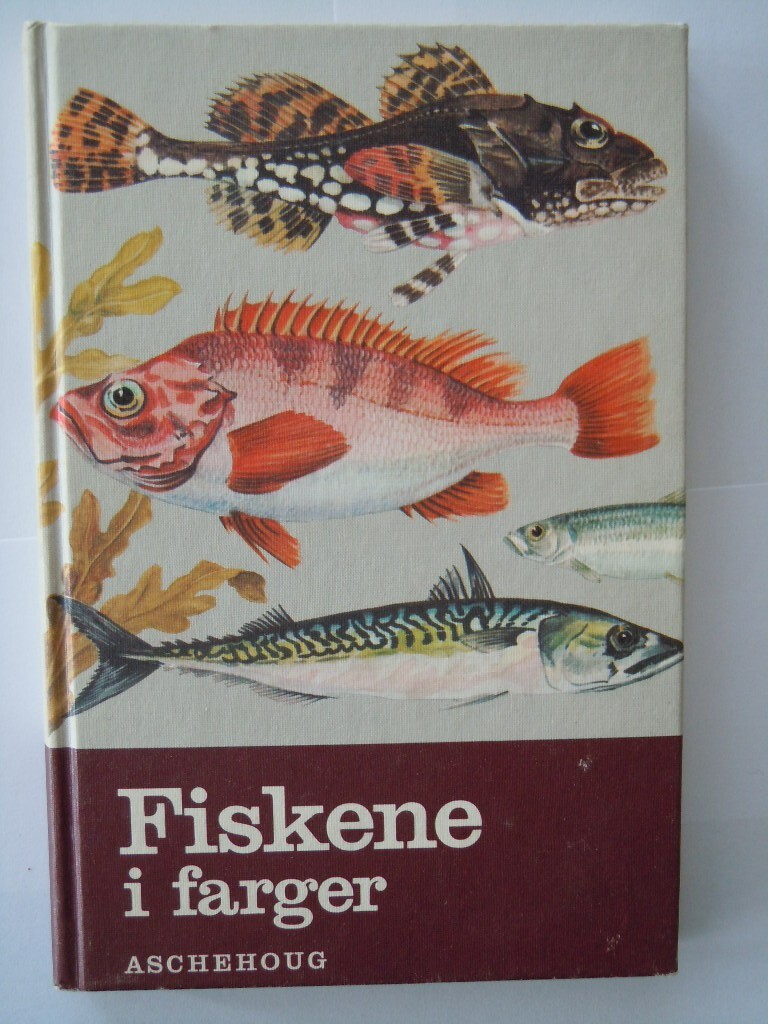 Forsidebilde