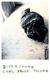 Omslagsbilde:Bipersonar : roman