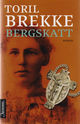 Cover photo:Bergskatt : roman