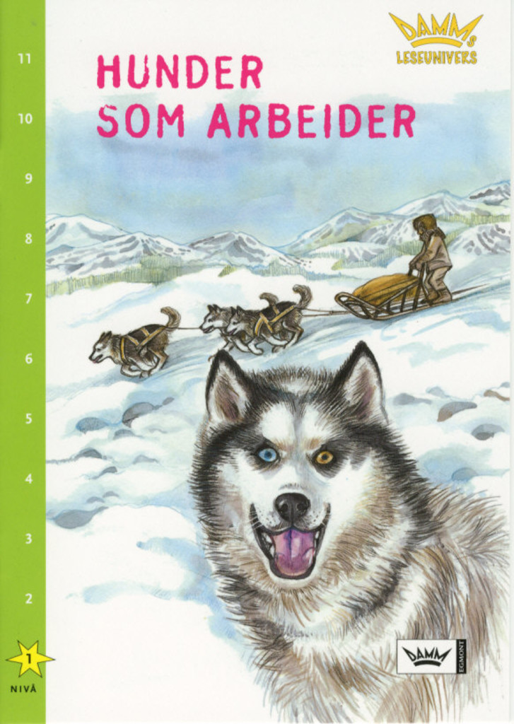 Forsidebilde