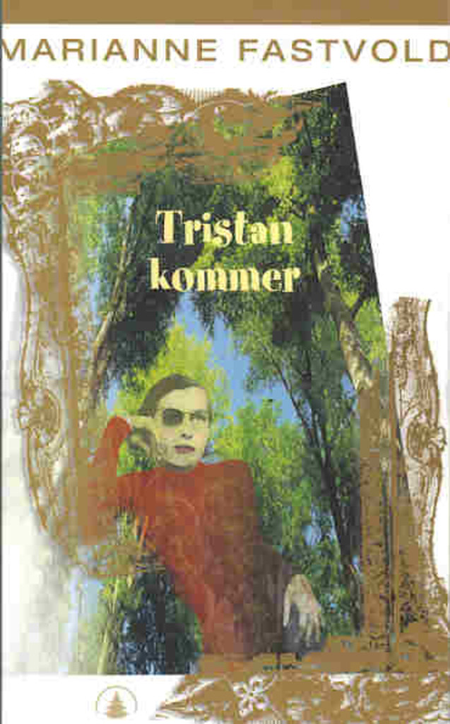 Tristan kommer : roman