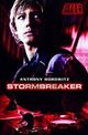 Omslagsbilde:Stormbreaker : filmutgaven
