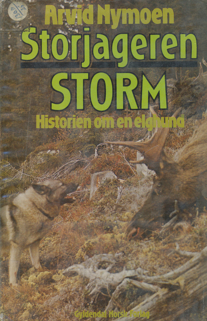 Forsidebilde