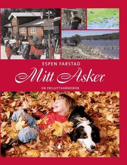 forsidebilde - trykk for å vise stor versjon