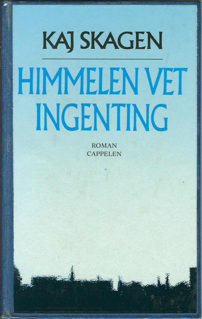 Himmelen vet ingenting : roman