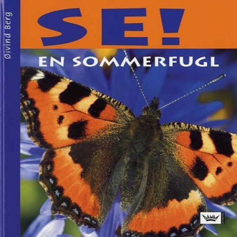 Se! : en sommerfugl