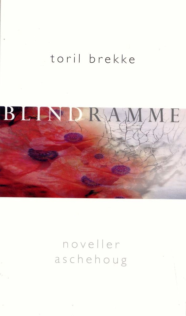 Blindramme : noveller