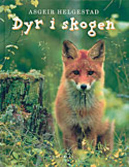 forsidebilde - trykk for å vise stor versjon