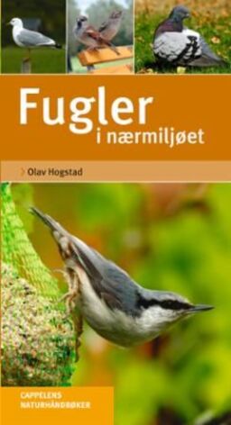 forsidebilde - trykk for å vise stor versjon