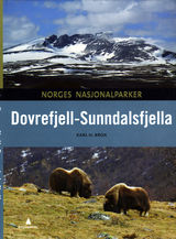 Omslagsbilde