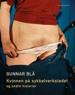 forsidebilde - trykk for å vise stor versjon