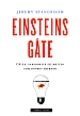 Omslagsbilde:Einsteins gåte : gåter, paradokser og nøtter som trimmer hjernen