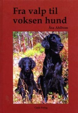 forsidebilde - trykk for å vise stor versjon