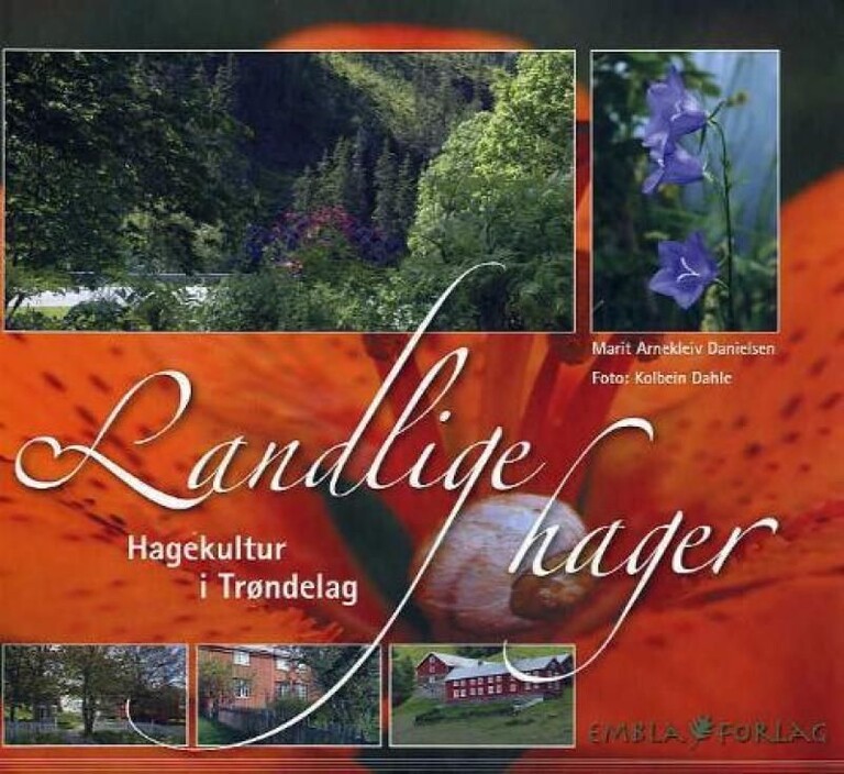 Forsidebilde