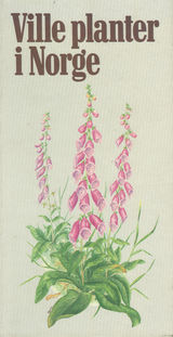 Forsidebilde