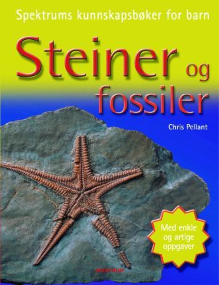 Forsidebilde