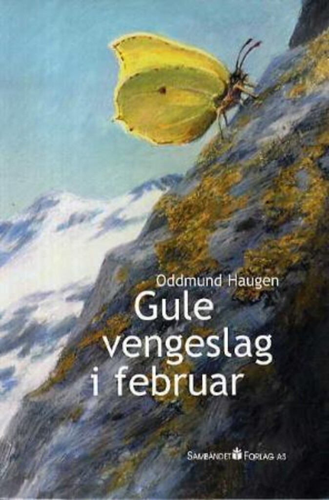 Forsidebilde