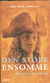 Omslagsbilde:Den store ensomme : en biografi om Ludvig Holberg