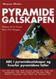 Omslagsbilde:Pyramidegalskapen : ABC i pyramideselskaper og hvorfor pyramidene faller