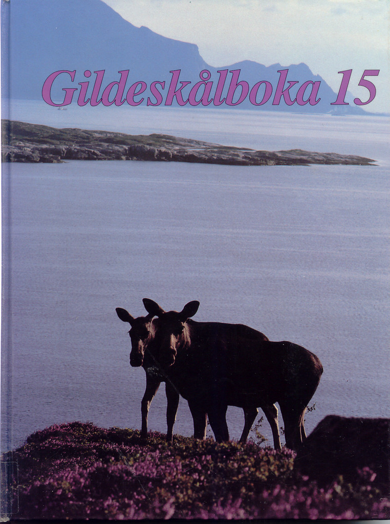 Forsidebilde