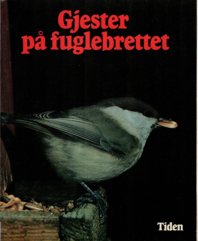 Forsidebilde