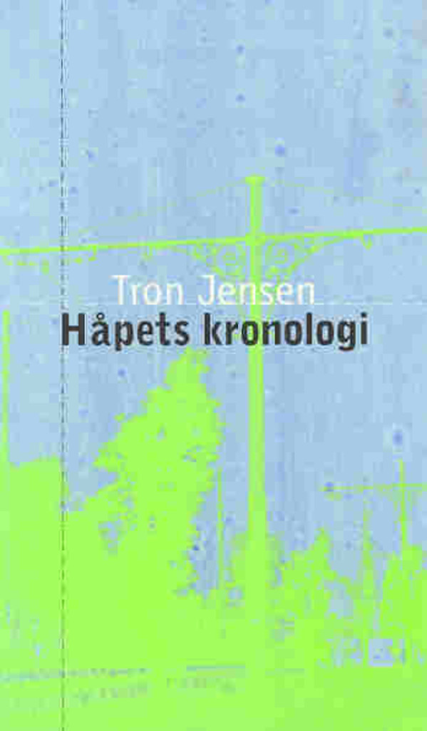 Håpets kronologi : roman