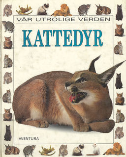 forsidebilde - trykk for å vise stor versjon