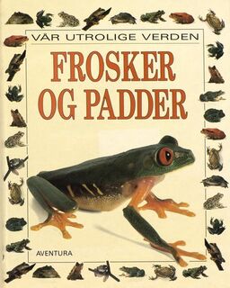 forsidebilde - trykk for å vise stor versjon