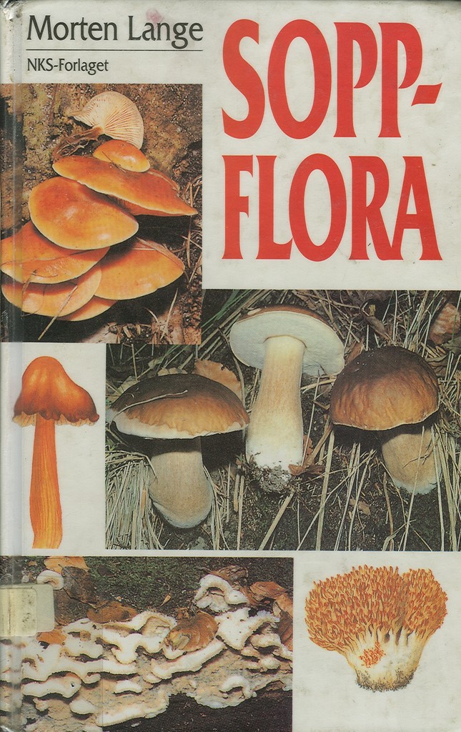 Forsidebilde