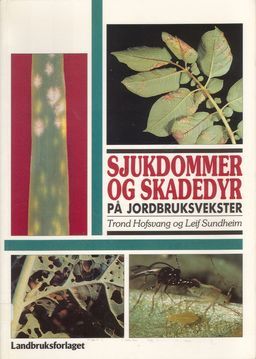 forsidebilde - trykk for å vise stor versjon