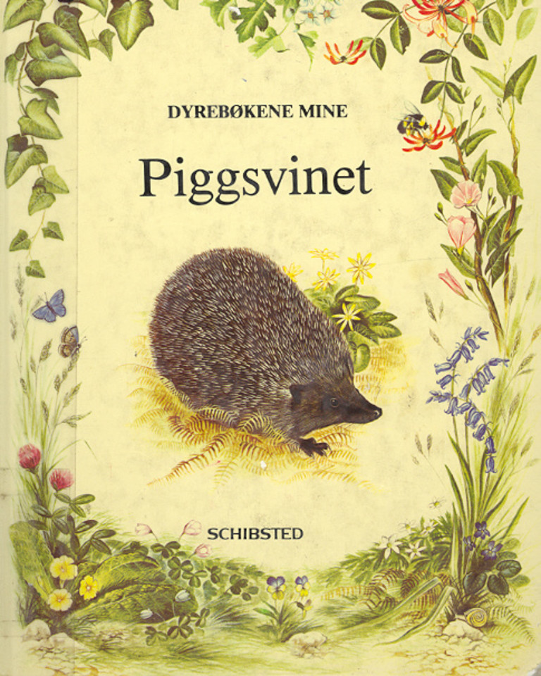 Forsidebilde