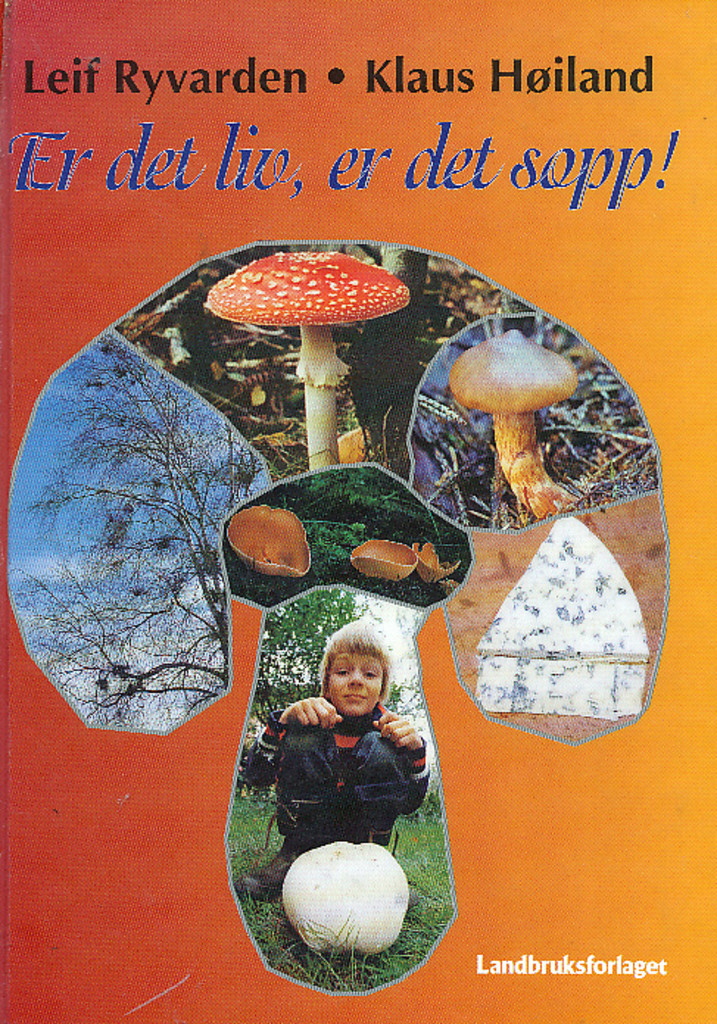 Forsidebilde