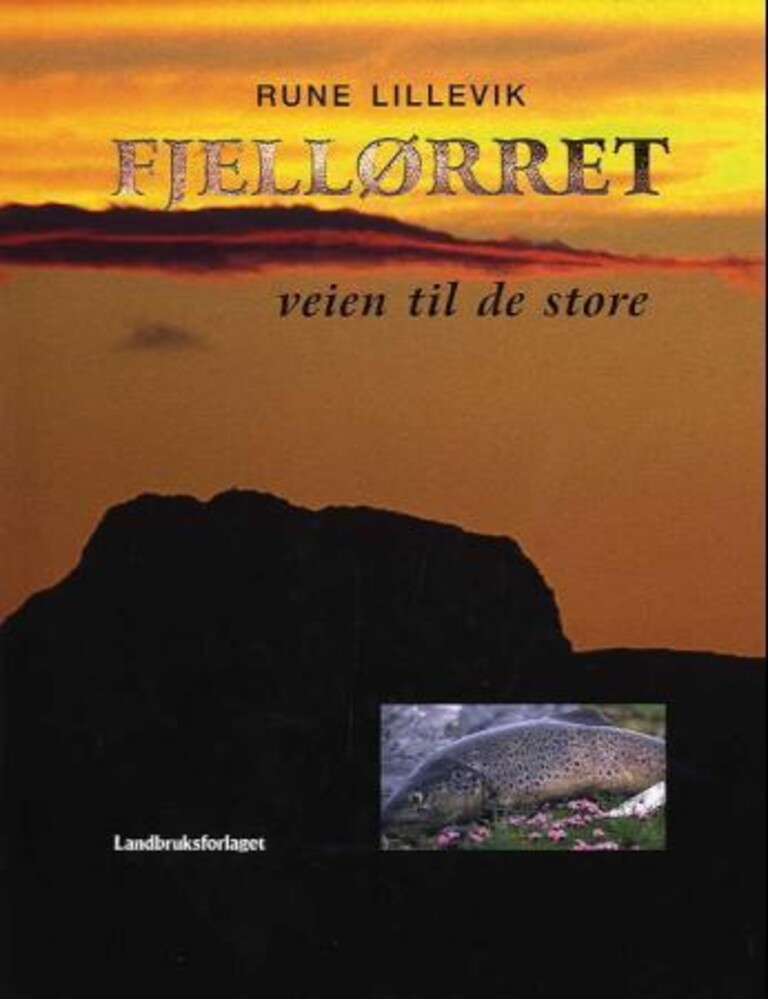Forsidebilde
