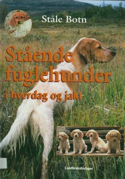 forsidebilde - trykk for å vise stor versjon