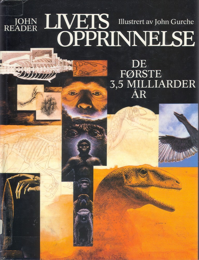 Forsidebilde